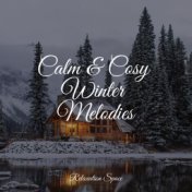 Calm & Cosy Winter Melodies
