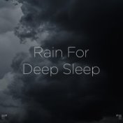 !!" Rain For Deep Sleep "!!