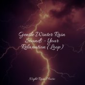 Gentle Winter Rain Sounds - Your Relaxation (Loop)