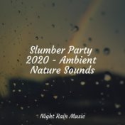 Slumber Party 2020 - Ambient Nature Sounds