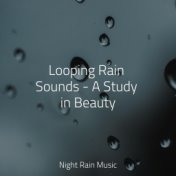 Looping Rain Sounds - A Study in Beauty