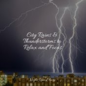 City Rains & Thunderstorms to Relax and Focus