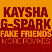 Fake Friends (More Remixes)