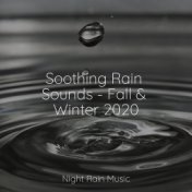 Soothing Rain Sounds - Fall & Winter 2020
