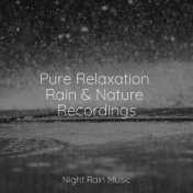 Pure Relaxation Rain & Nature Recordings