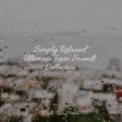 Simply Relaxed Ultimate Rain Sounds Collection