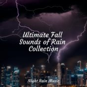 Ultimate Fall Sounds of Rain Collection