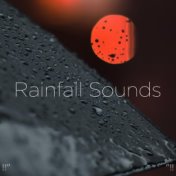 !!" Rainfall Sounds "!!