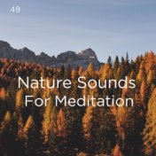 49 Nature Sounds For Meditation