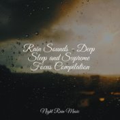 Rain Sounds - Deep Sleep and Supreme Focus Compilation