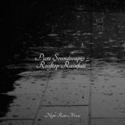 Pure Soundscapes - Rooftop Rainfall