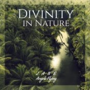 Divinity in Nature