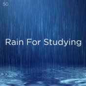 50 Rain For Studying