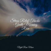 Stress Relief Tracks - Gentle Morning Rain