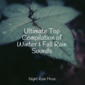 Ultimate Top Compilation of Winter & Fall Rain Sounds