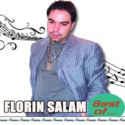 Florin Salam