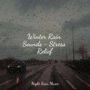 Winter Rain Sounds - Stress Relief