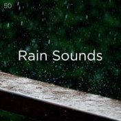 50 Rain Sounds