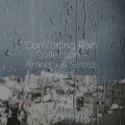 Comforting Rain Collection - Anxiety & Stress Relief
