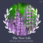 The New Life - Relaxing Ambient Musical Magic