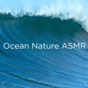 !!" Ocean Nature ASMR "!!