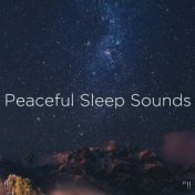 !!" Peaceful Sleep Sounds "!!