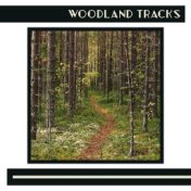 Woodland Tracks - Collection of Beautiful Nature Sounds for Sleeping, Relaxing, Studying and Meditating, Water, Wind, Animals, T...