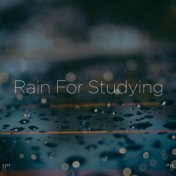 !!" Rain For Studying "!!