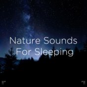 !!" Nature Sounds For Sleeping "!!