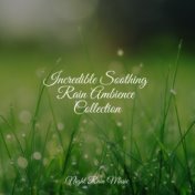 Incredible Soothing Rain Ambience Collection