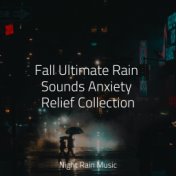 Fall Ultimate Rain Sounds Anxiety Relief Collection