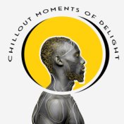 Chillout Moments of Delight