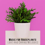 Music for Houseplants: Love and Caring Melodies – Provide Them Better Growth and Life Conditions Thanks to This Soothing Natural...
