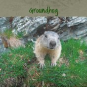 Groundhog