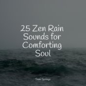 25 Zen Rain Sounds for Comforting Soul