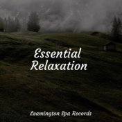 Essential Relaxation