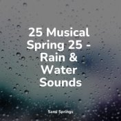 25 Musical Spring 25 - Rain & Water Sounds