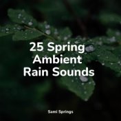 25 Spring Ambient Rain Sounds