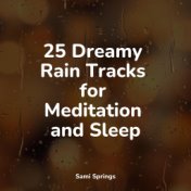 25 Dreamy Rain Tracks for Meditation and Sleep