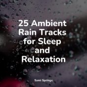 25 Ambient Rain Tracks for Sleep and Relaxation