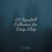 25 Rainfall Collection for Deep Sleep
