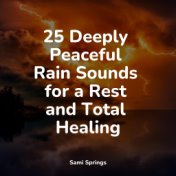 25 Deeply Peaceful Rain Sounds for a Rest and Total Healing