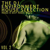 The DJ Environment: House Selection, Vol. 2