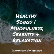 Healthy Songs | Mindfulness, Serenity & Relaxation