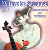 Valses De Strauss Vol 1