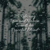 25 Relaxing Rain and Nature Sounds for Peaceful Mind