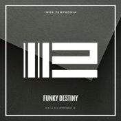 Funky Destiny