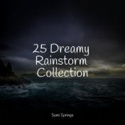 25 Dreamy Rainstorm Collection