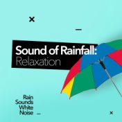 Sound Of Rainfall: Relaxation