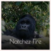 Natchez Fire